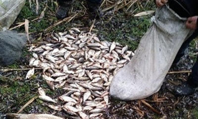 Рыбного браконьера обнаружили в Купянском районе