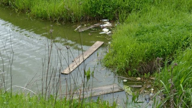 Харьковчане спасают природу