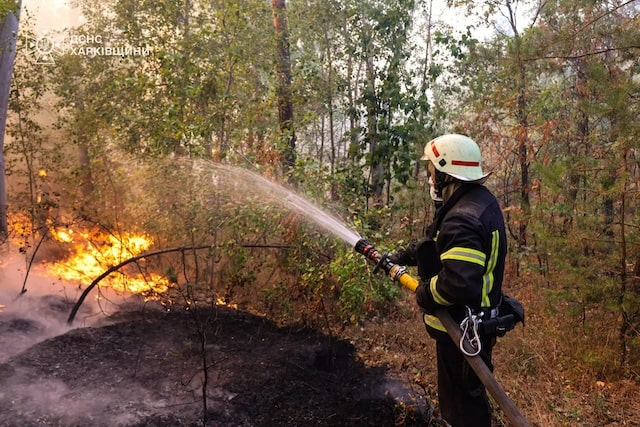 В Малиновской громаде горит лес на площади 40 гектаров