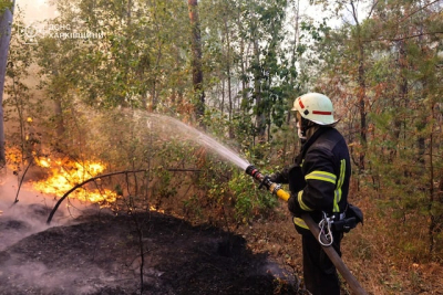 В Малиновской громаде горит лес на площади 40 гектаров