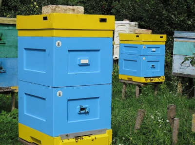 Вулики Лисоня з Польщі: з чого складається, переваги, де купити