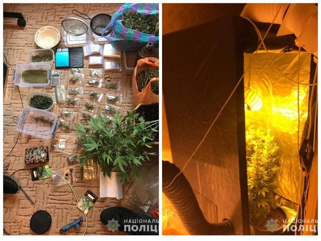 Харьковчанин выращивал в шкафу коноплю (фото)