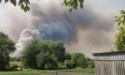 Российские оккупанты спровоцировали пожар в лесах Балаклейского района