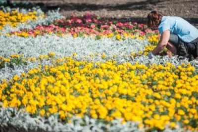 Открылся первый фестиваль-перфоманс в Харькове