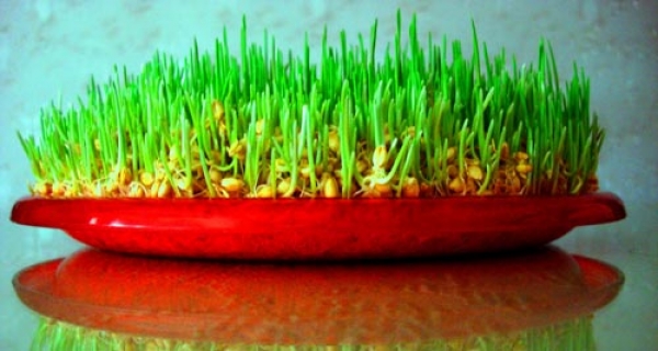 В Харькове отметили Новруз