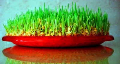 В Харькове отметили Новруз