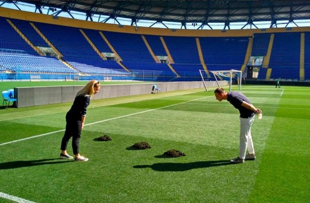 Подземные зверьки атаковали стадион «Металлист» (фотофакт)