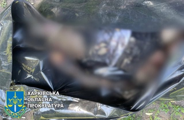 В Богодуховском районе на мине подорвался автомобиль - погибла женщина