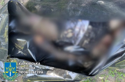 В Богодуховском районе на мине подорвался автомобиль - погибла женщина