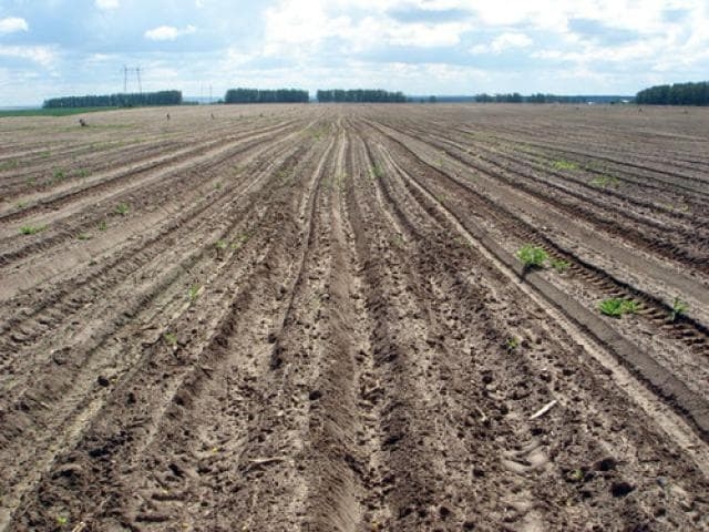 Махинации с землей могут очень дорого обойтись фермеру