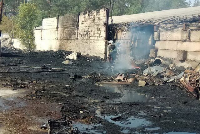 Масштабный пожар тушили харьковские спасатели в пос. Васищево