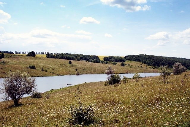 Чиновники раздали заповедные земли – ущерб составил 300 млн грн