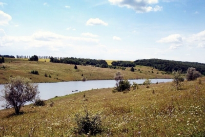 Чиновники раздали заповедные земли – ущерб составил 300 млн грн