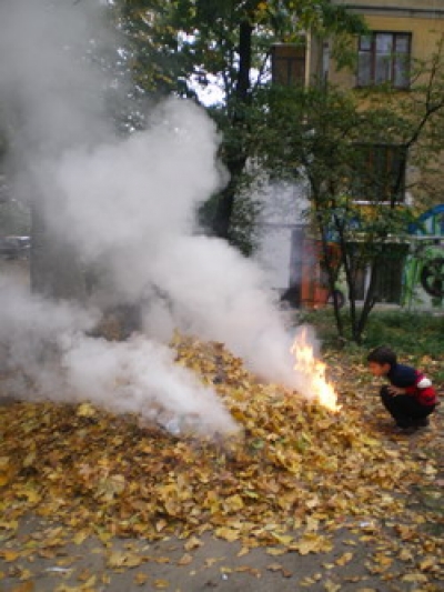 Экологи пугают горожан