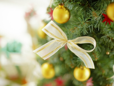 В милиции рассказали, что можно на Новый год