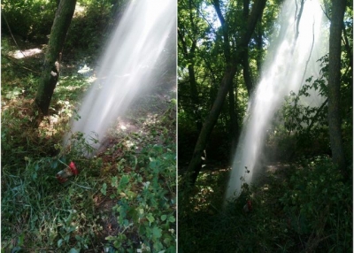 В Основянском районе из земли бьет вода (фото)