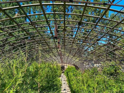 Волчанский лесхоз планирует восстановить 13 гектаров леса