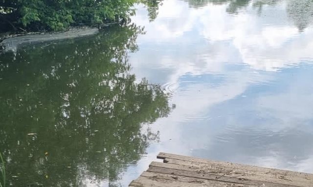 В р. Уды зафиксирован массовый мор рыбы и уток