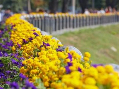 В Харькове побили мировой рекорд