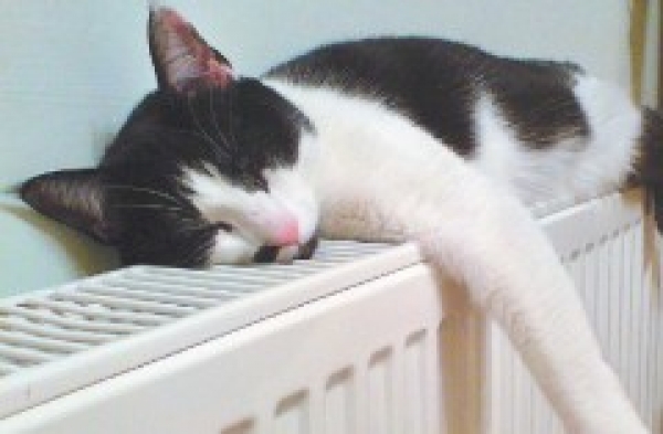 ХТС модернизирует систему теплоснабжения