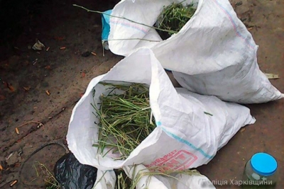 В Хорошево прикрыли наркобазу