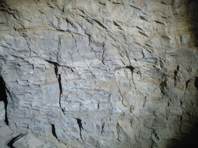 28-е подземелье нашли и зарегистрировали на Харьковщине