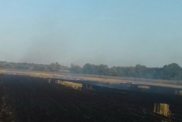 Пожарные спасли 20 га кукурузы в Волчанском районе