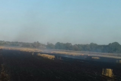 Пожарные спасли 20 га кукурузы в Волчанском районе