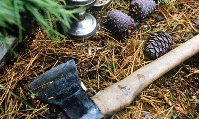 На Новых Домах в Харькове женщина спилила ель – ее задержали свидетели (видео)