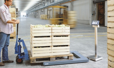 Весы паллетные: что это такое, особенности, как выбрать