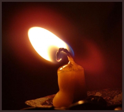 В парке им. Горького прошел фестиваль