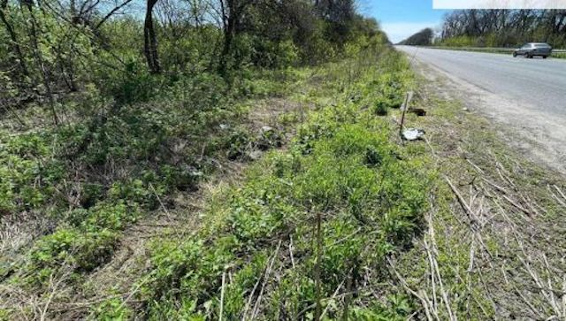 На дороге государственного значения нашли восемь противотранспортных мин