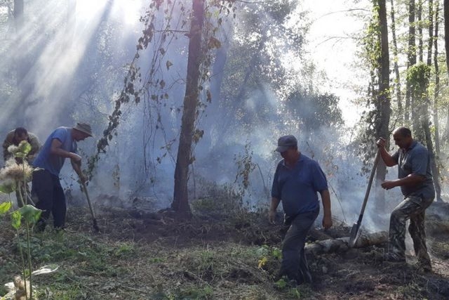 У села Чепелино произошел большой пожар