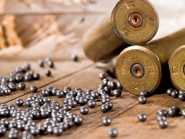 Охотники подстрелили мужчину – открыто уголовное производство (видео)