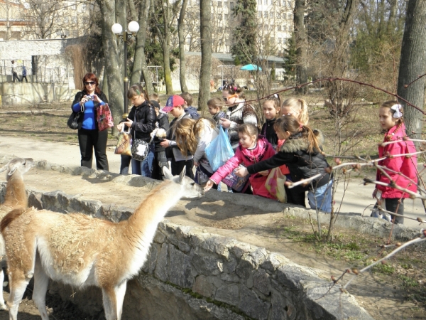 В зоопарке проводят уроки биологии