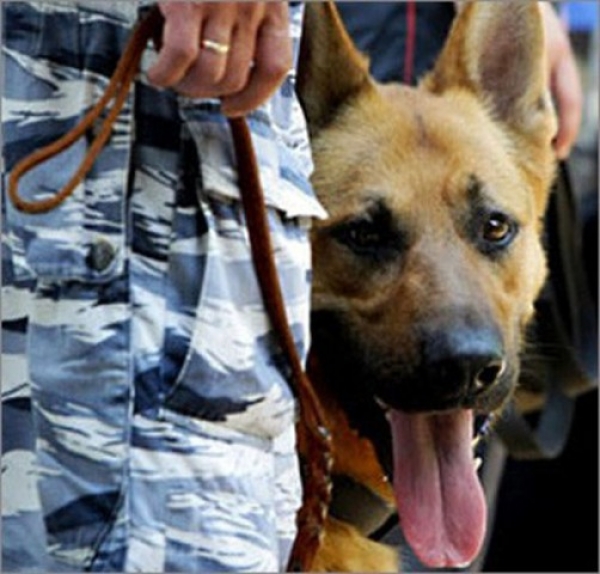 Харьковский вокзал заминировали