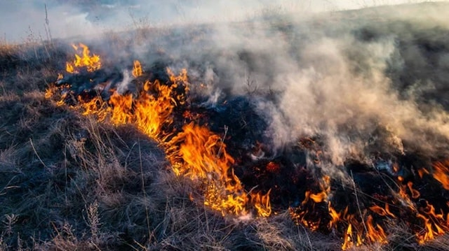 Масштабный пожар в Чугуевском районе - огонь тушили 12 подразделений СЧС