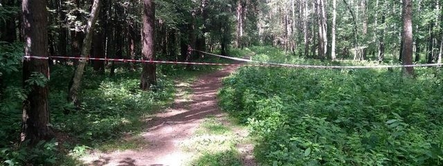 Фермера из Харьковского района нашли убитым в лесопосадке