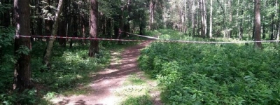 Фермера из Харьковского района нашли убитым в лесопосадке