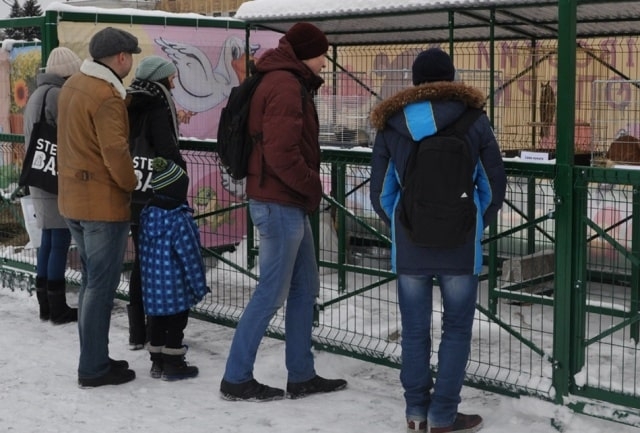 На площадь Свободы привезли животных из зоопарка (видео)