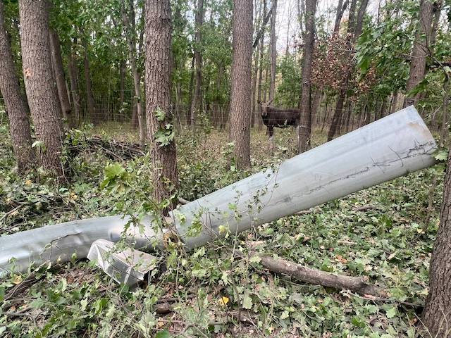 Эко-парк попал под обстрел - Лосиха Люся едва не погибла