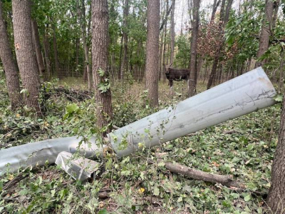 Эко-парк попал под обстрел - Лосиха Люся едва не погибла