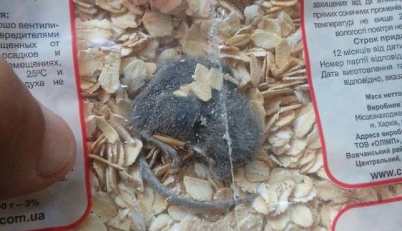 В пачке хлопьев, произведенных в Харьковской области, покупатели нашли мертвое животное (фотофакт)