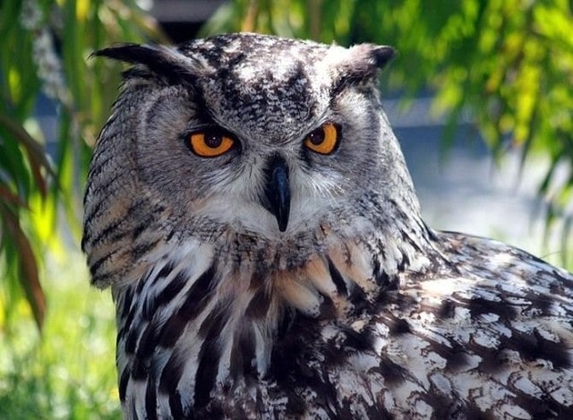 В Экопарке началась реализация нового проекта