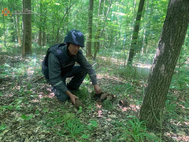 Жителей Харькова просят не ходить в Саржин яр и Лесопарк – в них могут быть мины