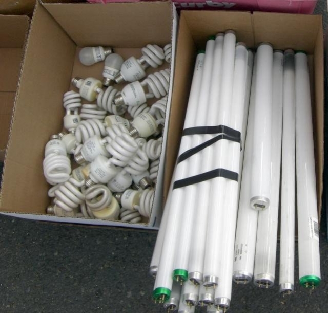 Для реализации проекта «Нам не до лампочки» нужно 1,5 млн грн