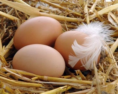 Харьковские товары популярны за рубежом