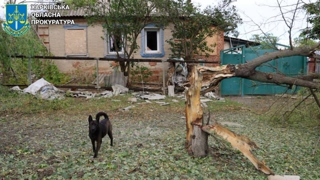 Российские террористы сбросили на село Ольховатка 4 авиабомбы, а по Купянску ударили артиллерией