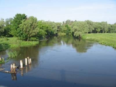 Озеро Лебяжье возвращается государству